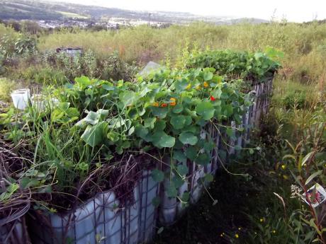 Citerne à légumes 1