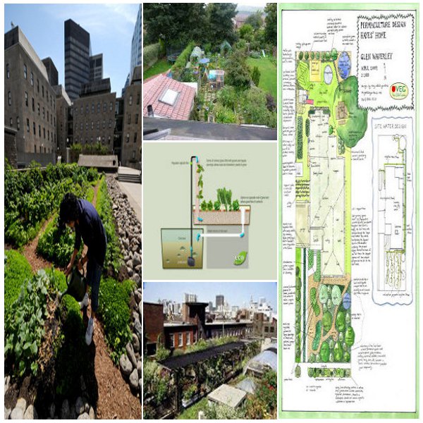 grande-image-permaculture-urbaine