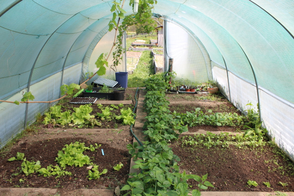 ferme-permaculture-3