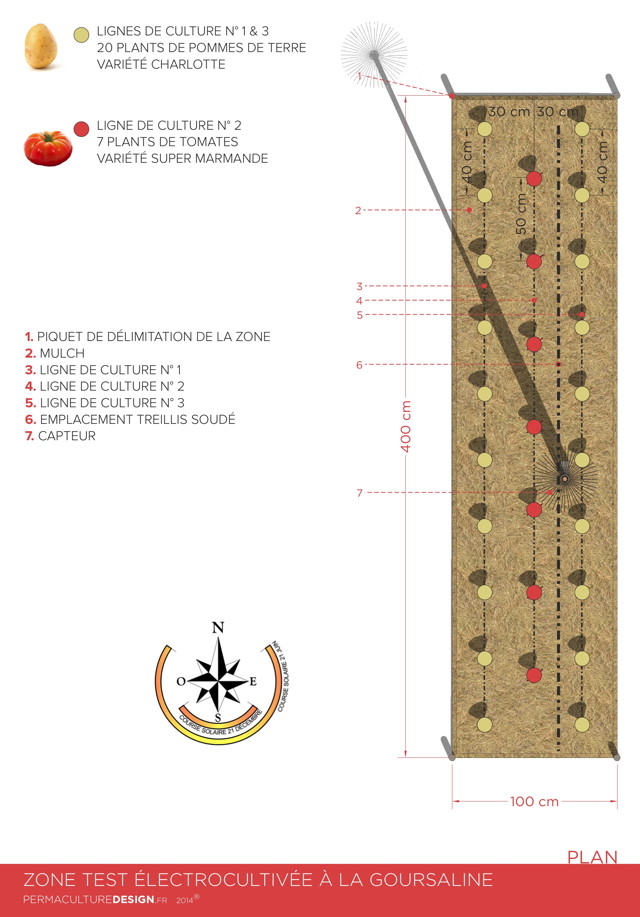 6 Pack Electroculture Jardinage Bobine de cuivre Antennes pour la culture  de plantes de jardin Légumes avec Elec