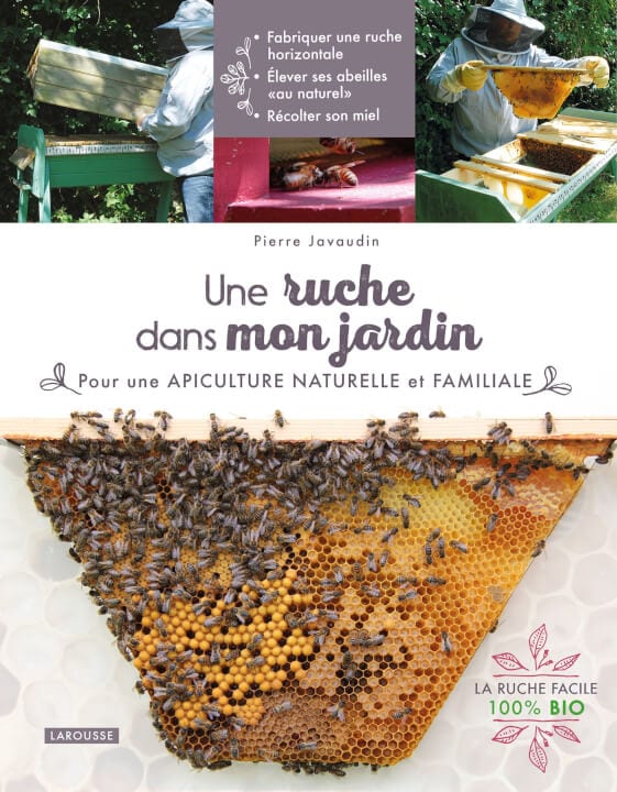 Apiculture : l'organisation des abeilles dans la ruche - Truffaut