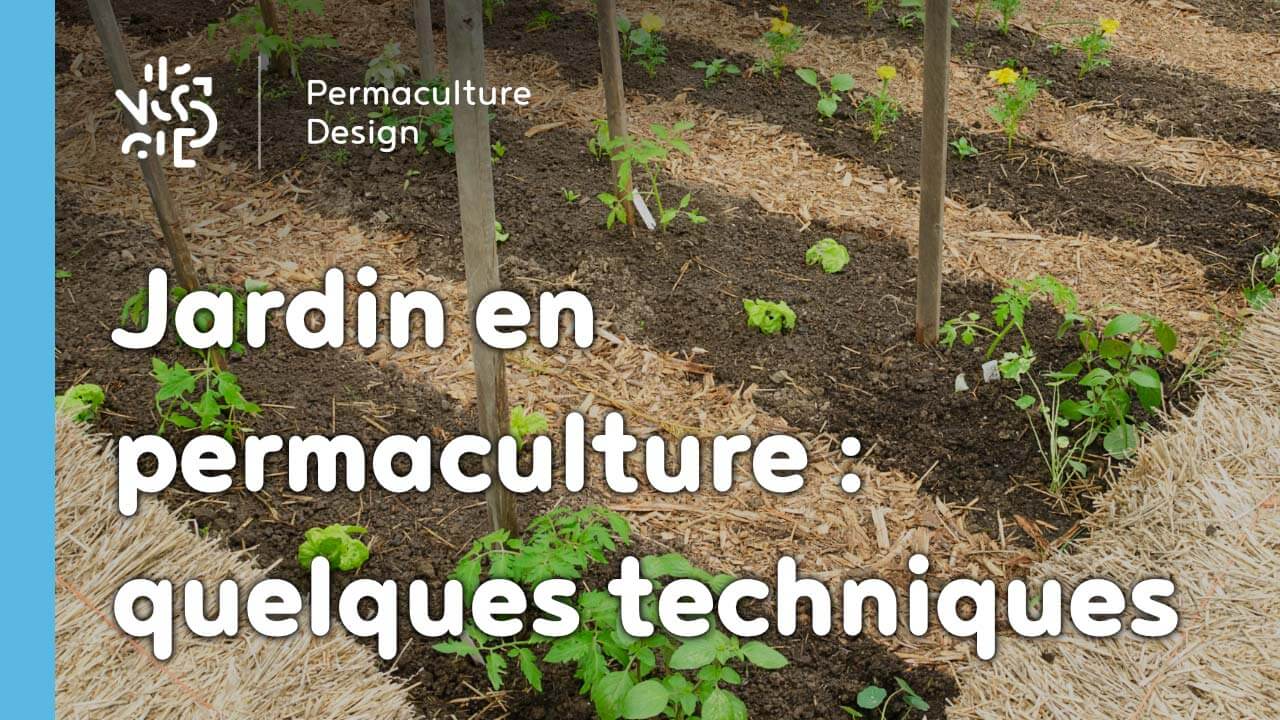 Un jardin potager utilisant des techniques de permaculture