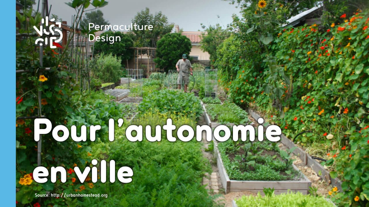 Idées et conseils pour développer la permaculture urbaine et ainsi augmenter la résilience et l’autonomie alimentaire et énergétique en ville.