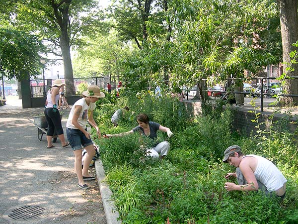 Agriculture urbaine