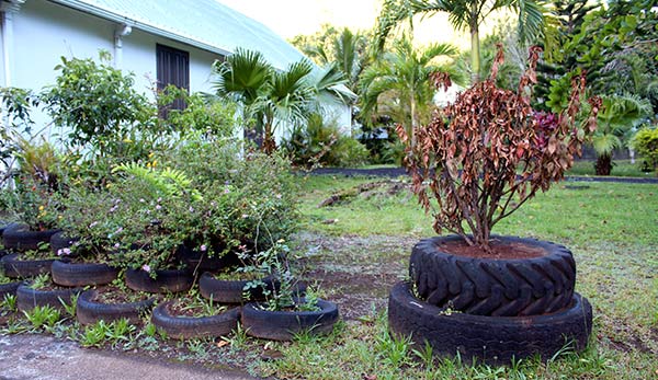 Recyclage de pneus pour culture urbaine.