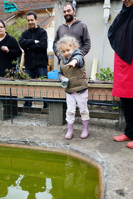 Enfant devant bassin aquaponie