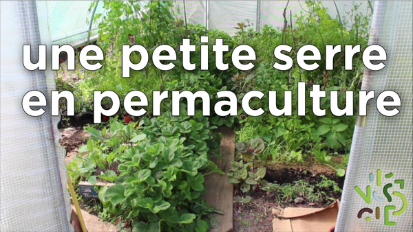 Aménagement d'une serre selon les principes de permaculture.