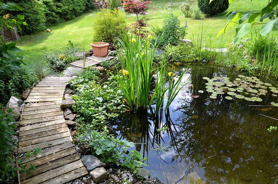 Récupérateur d'eau de pluie  Cour & Jardin - Cour et Jardin