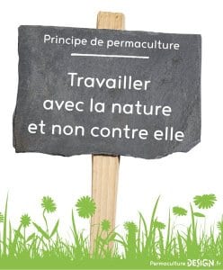 Comment construire son nichoir à chauves-souris ! - Ville de Saint-Astier