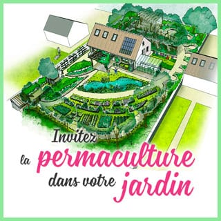 Invitez la permaculture dans votre jardin