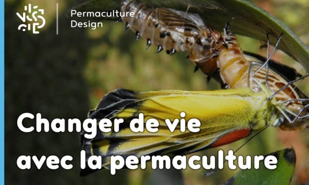 Changer de vie grâce au design de permaculture