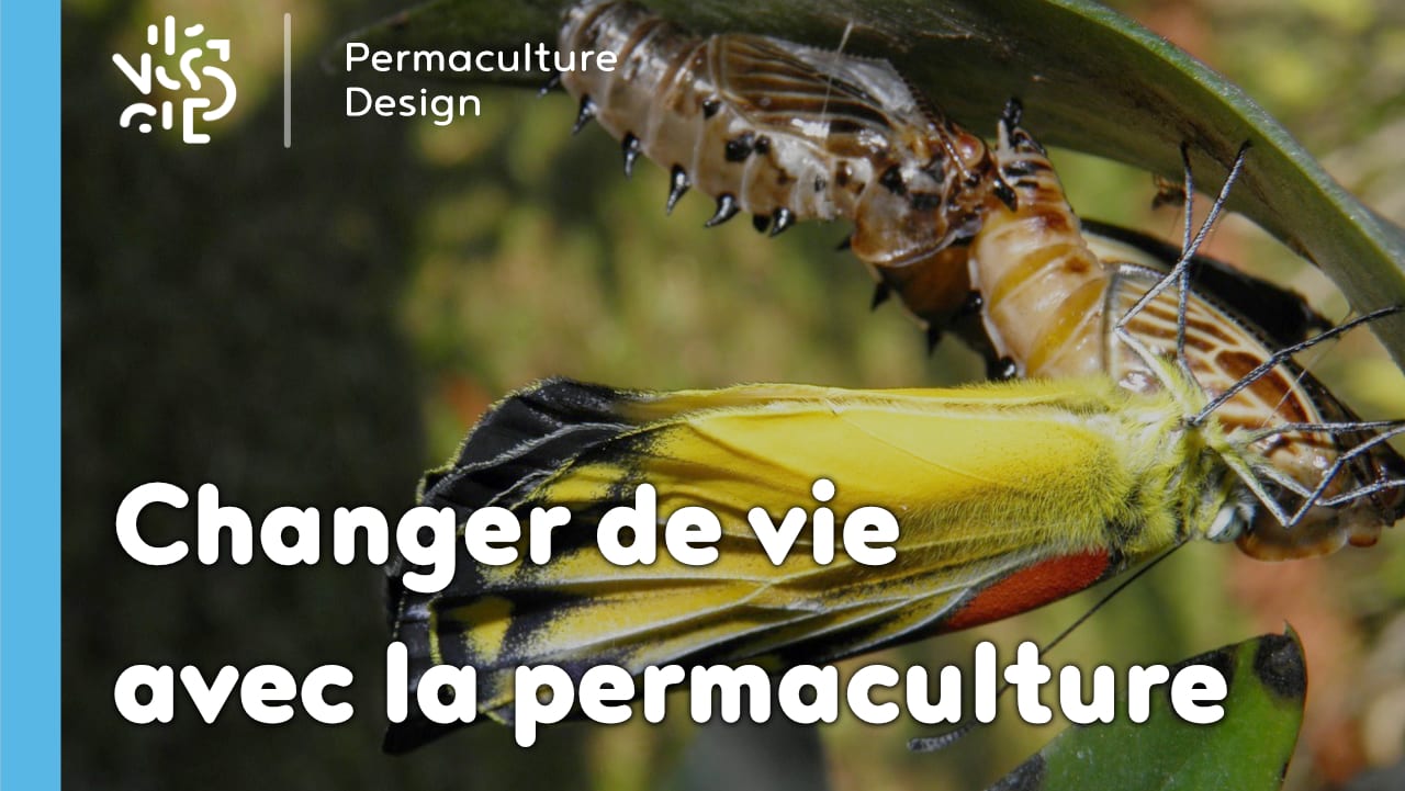 Le design de permaculture peut vous aider à changer de vie et vous épanouir