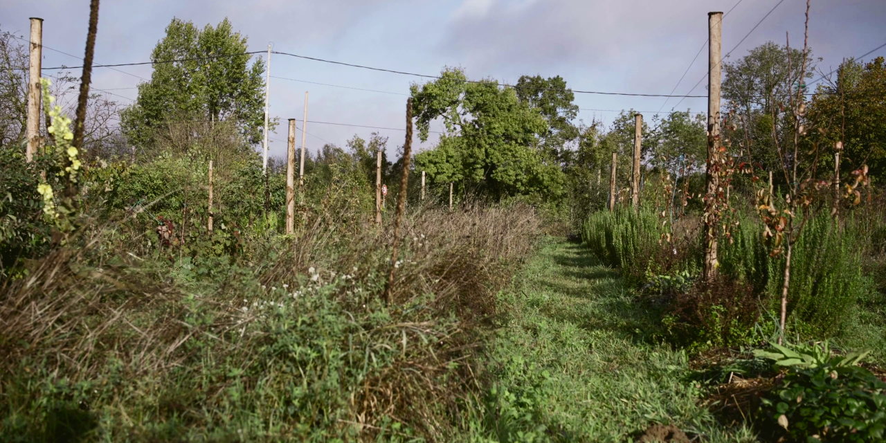 Le Verger en Permaculture