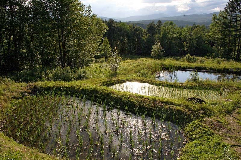 Choisir-un-terrain-pour-votre-projet-permaculture - les-10-points essentiels-permaculture-design-03