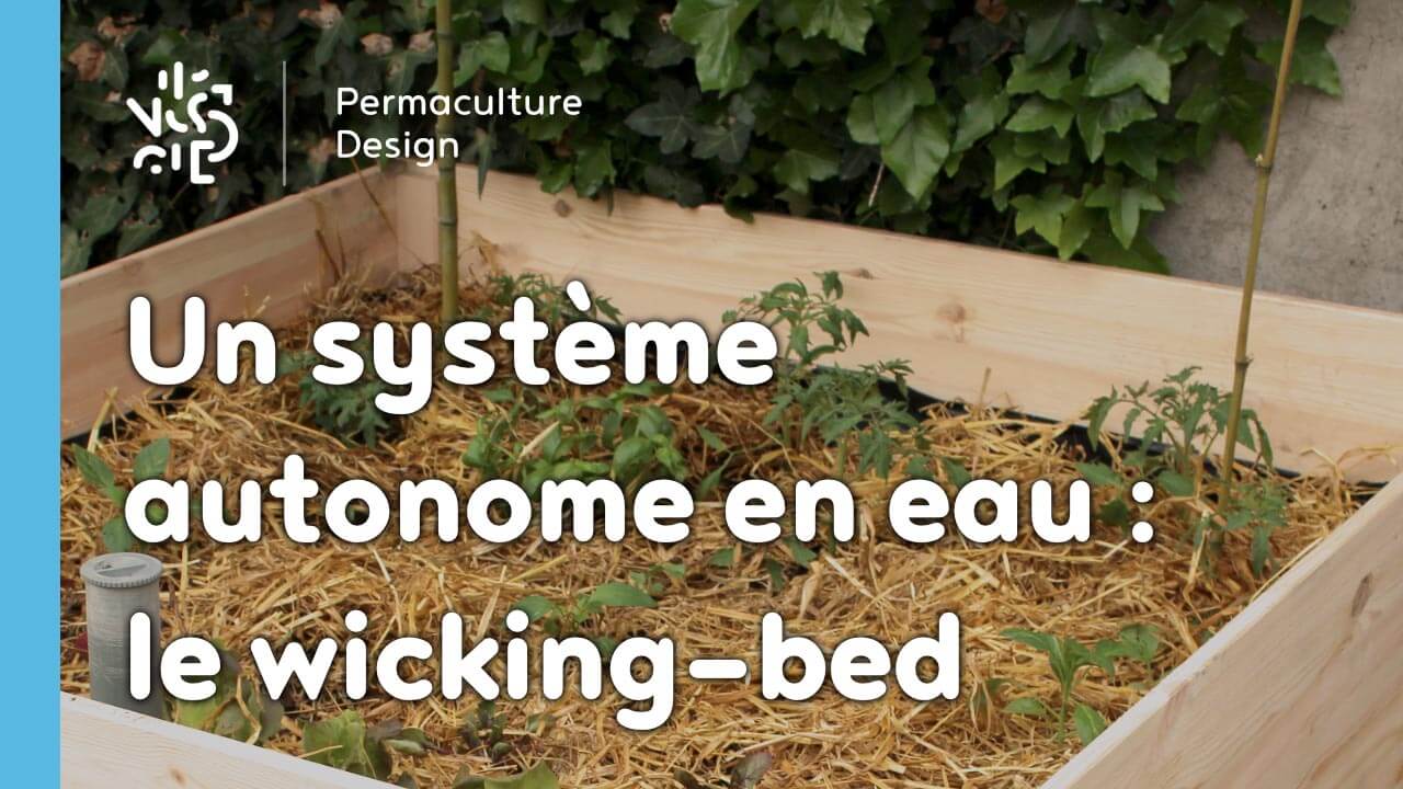 Bac de permaculture en bois 100% naturel