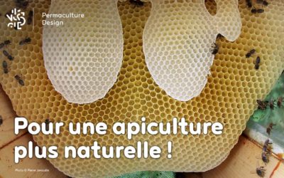 Pour le retour à une apiculture naturelle…