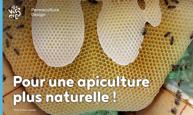 Pour le retour à une apiculture naturelle…