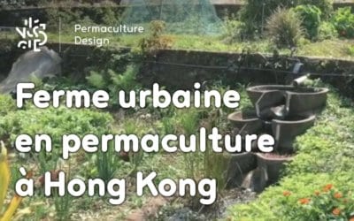 Ferme urbaine en permaculture à Hong Kong