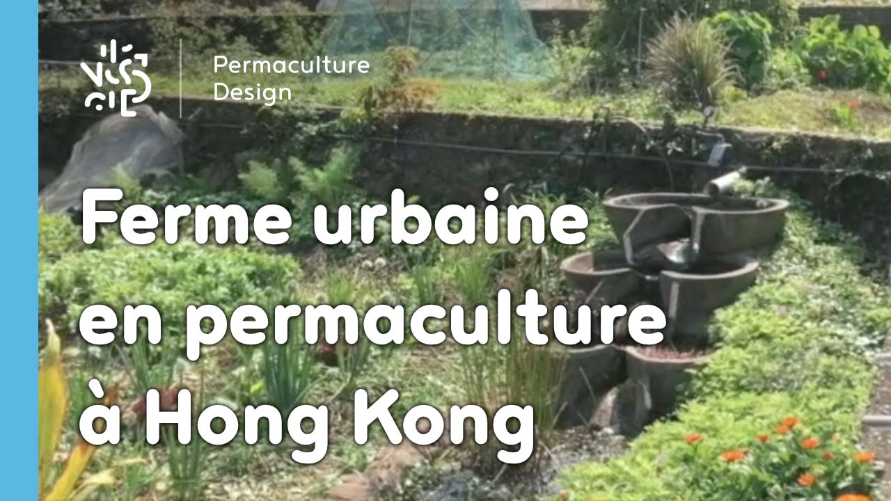 Une ferme urbaine pédagogique mettant en avant la permaculture, l’agroforesterie et l’agroécologie comme solutions aux problématiques urbaines.