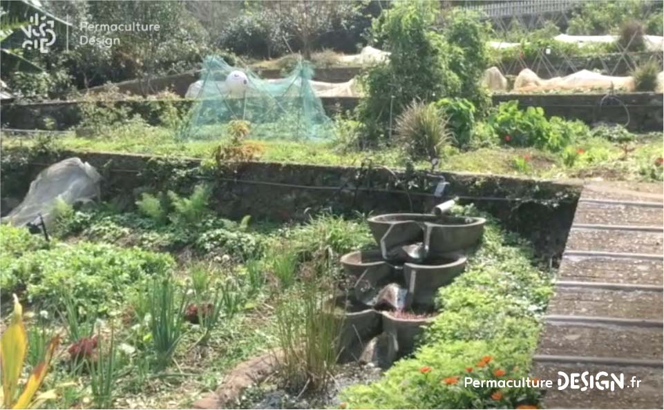 Une ferme urbaine pédagogique mettant en avant la permaculture, l’agroforesterie et l’agroécologie comme solutions aux problématiques urbaines.