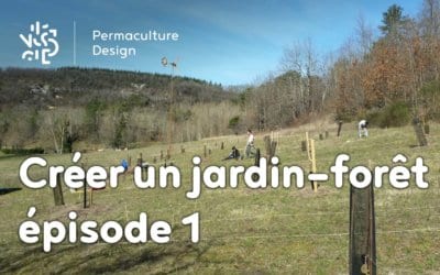 Créer collectivement un jardin-forêt en permaculture : épisode 1, la genèse du projet
