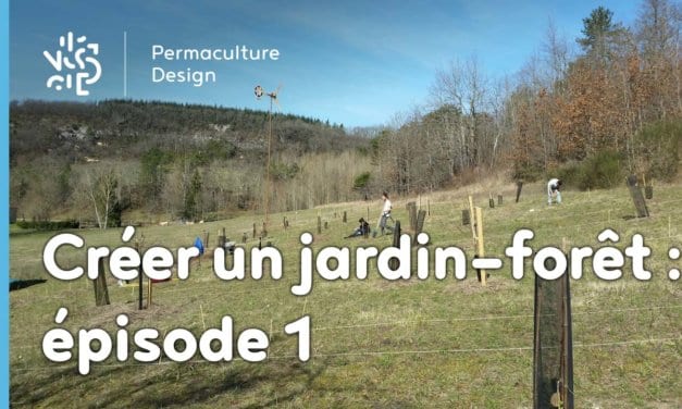 Créer collectivement un jardin-forêt en permaculture : épisode 1, la genèse du projet