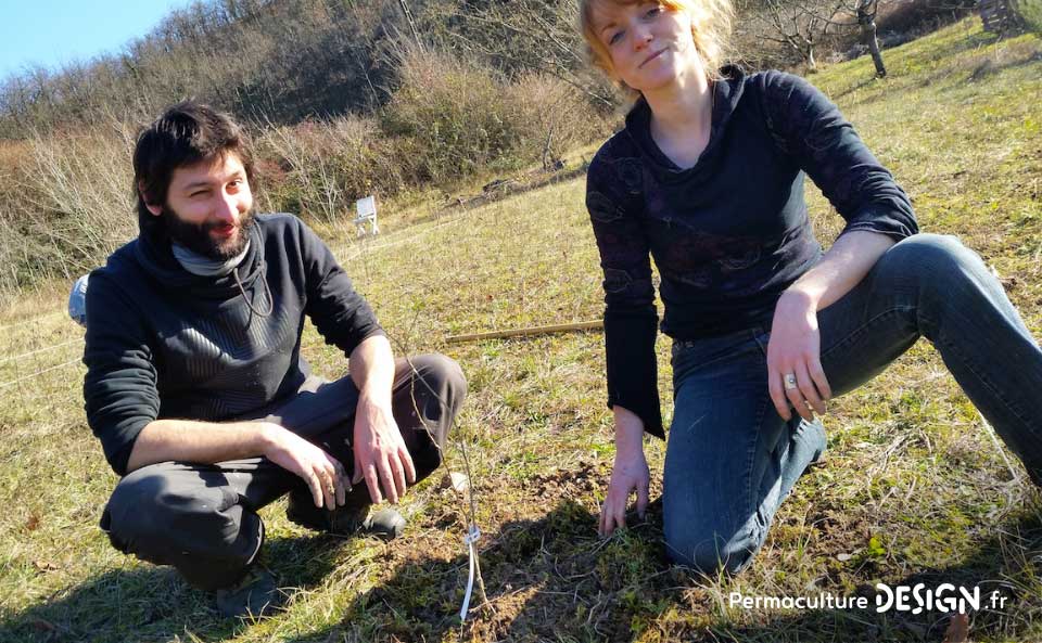 Suivi de la création d’un jardin forêt comestible en permaculture.