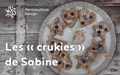 Les « crukies » : une recette de cookies crus gourmands, sains et équilibrés