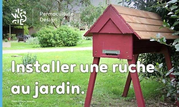 Comment installer une ruche dans votre jardin ?