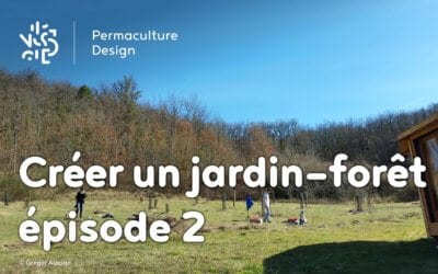 Créer collectivement un jardin-forêt en permaculture : épisode 2, les premières plantations