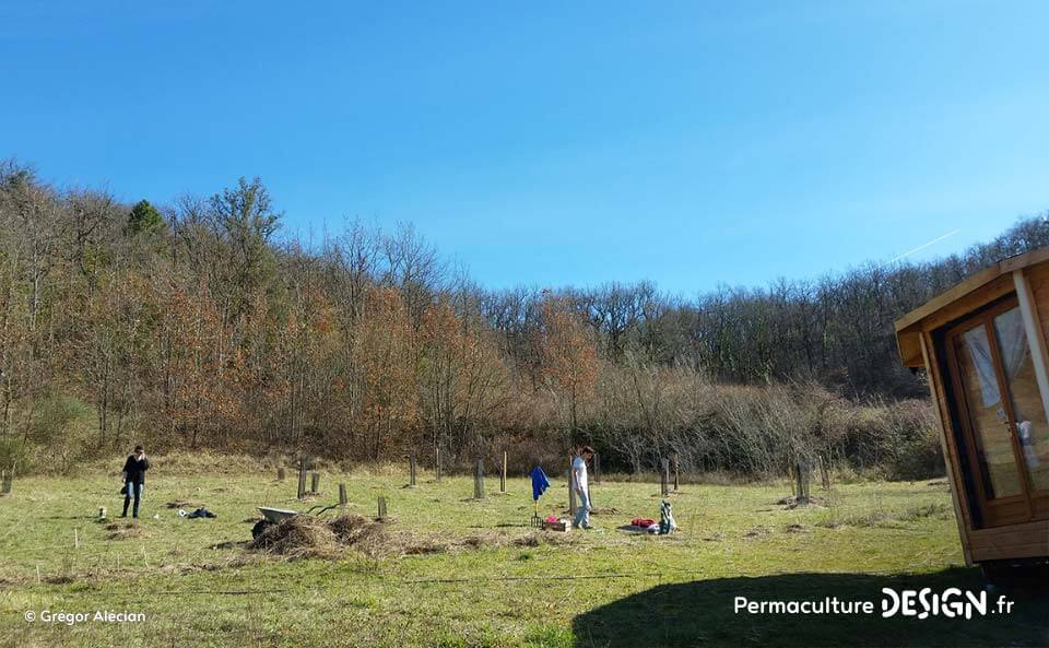 Suivi de la création d’un jardin forêt comestible en permaculture.