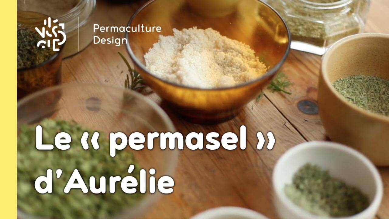 Rubrique permaculture humaine : une recette économique et simple pour profiter des bienfaits des plantes sur votre santé au quotidien.