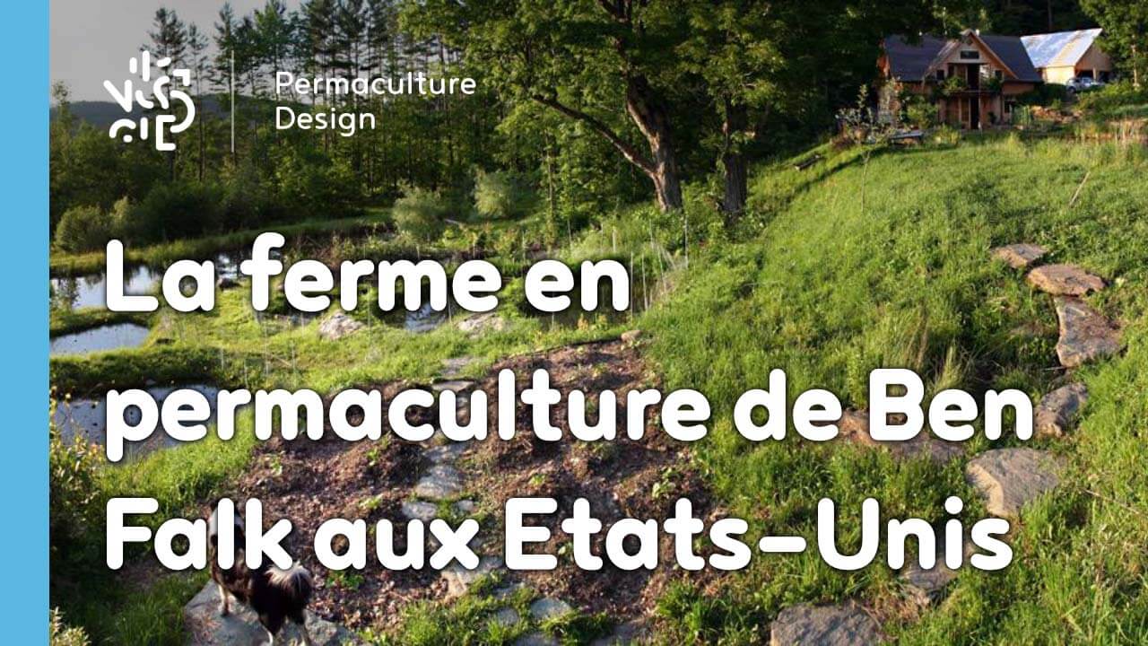 La ferme en permaculturede Ben Falk est un modèle de résilience et d’autonomie, notamment alimentaire.