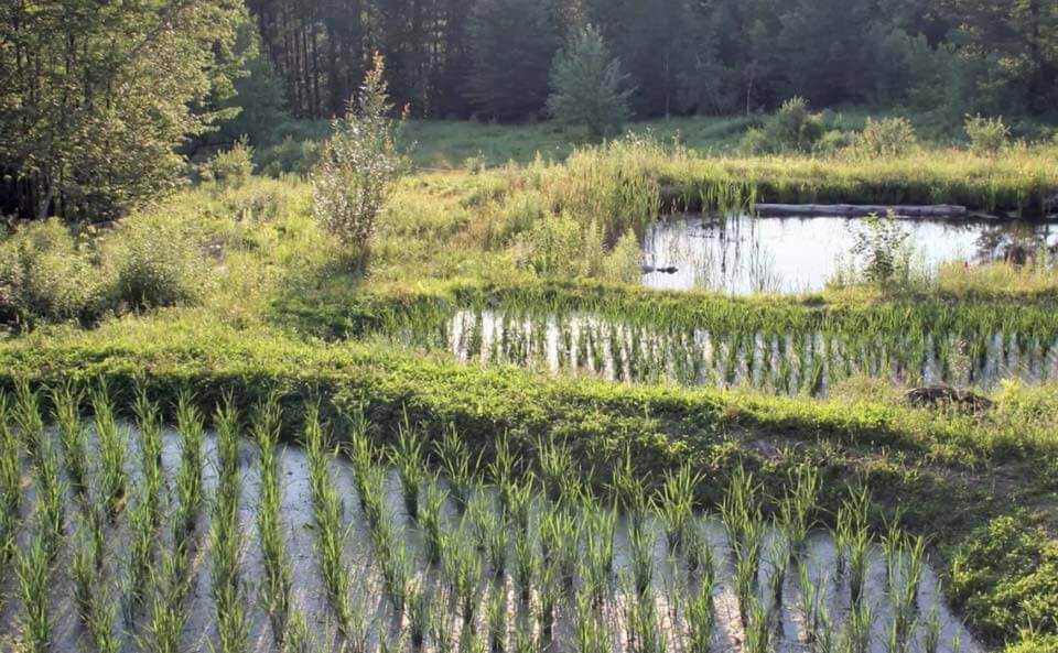 La ferme en permaculturede Ben Falk est un modèle de résilience et d’autonomie, notamment alimentaire.