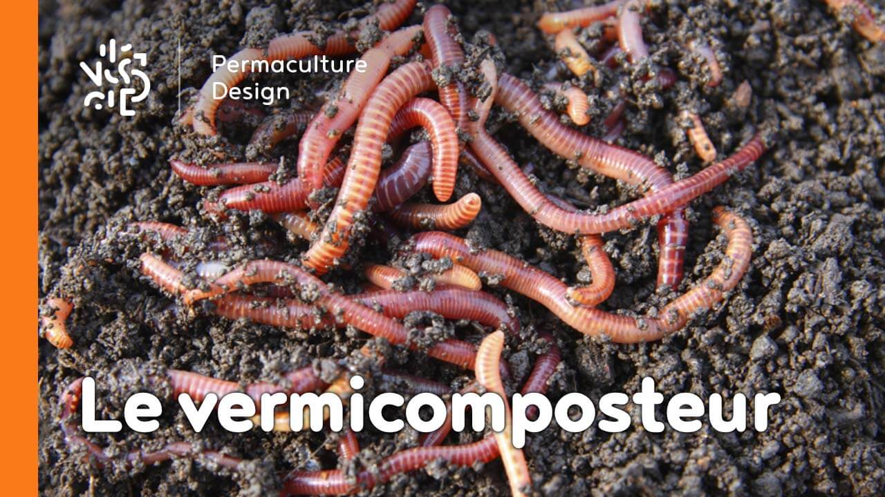 Le vermicomposteur est une boîte à vers permettant de faire un compost de qualité