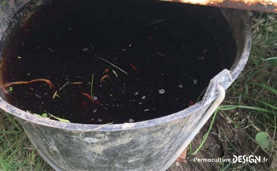 Le vermicomposteur est une boîte à vers permettant de faire un compost de qualité