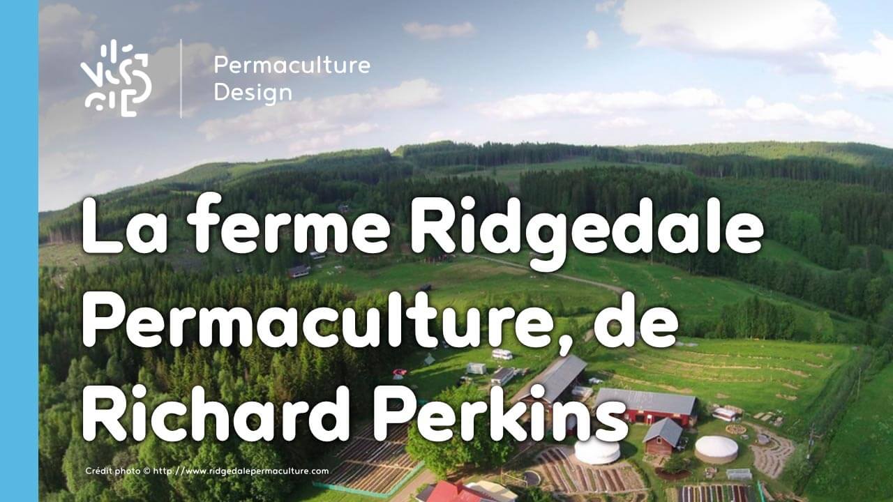 La ferme Ridgedale Permaculture, de Richard Perkins en Suède