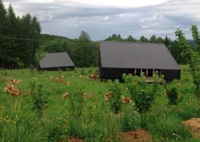 Ridgedale Permacultureest une ferme innovante, résiliente et rentable créée par Richard Perkins en Suède.