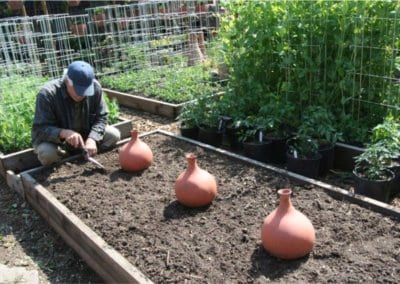 Avec sa petite ferme urbaine à Pasadena en Californie, la famille Dervaes développe son autonomie alimentaire et tend vers l’autosuffisance.