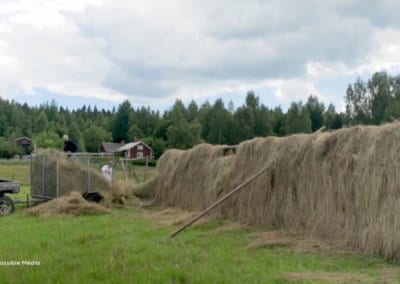 Le film sur Ridgedale Permaculture en Suède nous plonge dans le quotidien de celles et ceux qui font de cette ferme un lieu innovant et régénérateur.