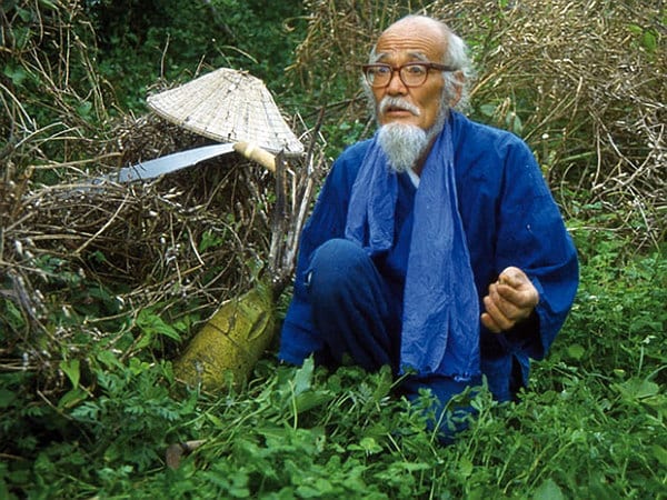 Pionnier de la permaculture, Masanobu Fukuoka approfondit son art du non-agir dans son second livre « L’agriculture naturelle ».