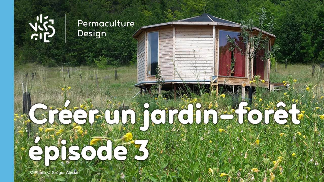 Créer collectivement un jardin-forêt en permaculture, épisode 3 : écouter et accompagner la forêt qui pousse.