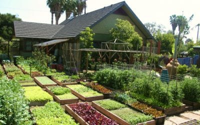 La ferme urbaine de la famille Dervaes à Pasadena, Californie