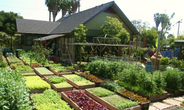 La ferme urbaine de la famille Dervaes à Pasadena, Californie