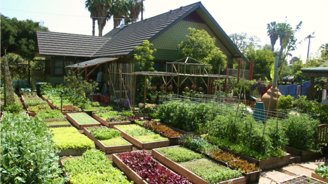 La ferme urbaine de la famille Dervaes à Pasadena, Californie