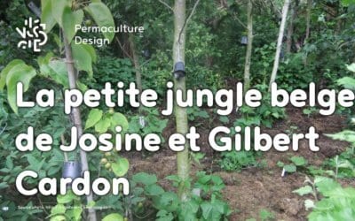 Le jardin-forêt en permaculture des fraternités ouvrières de Mouscron en Belgique.