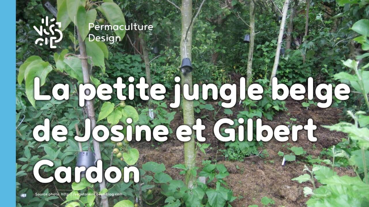 Le jardin-forêt en permaculture des fraternités ouvrières de Mouscron en Belgique produit des fruits et légumes en abondance toute l’année.