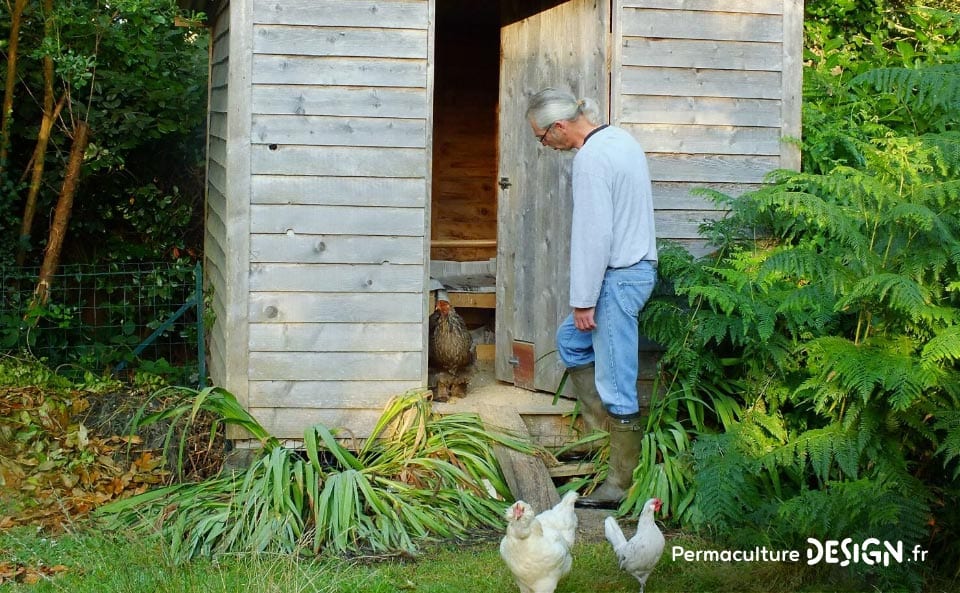 Hervé Husson nous conseille pour créer un poulailler confortable et pratique pour les poules comme pour les éleveurs.