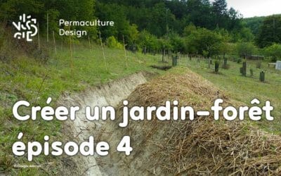 Créer collectivement un jardin-forêt en permaculture : épisode 4, l’épreuve du feu, c’est l’été.