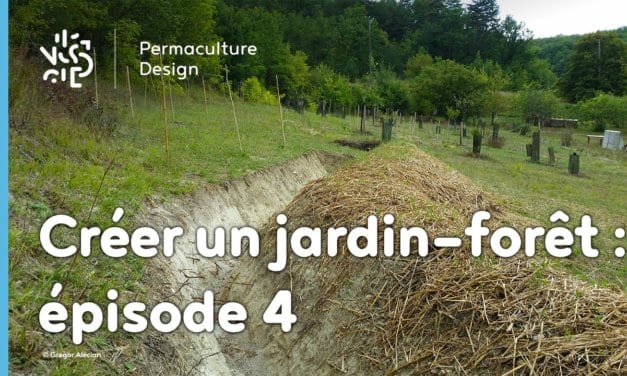 Créer collectivement un jardin-forêt en permaculture : épisode 4, l’épreuve du feu, c’est l’été.